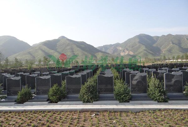 1-2202091A445M4 J9集团国际站【中国区】官方网站