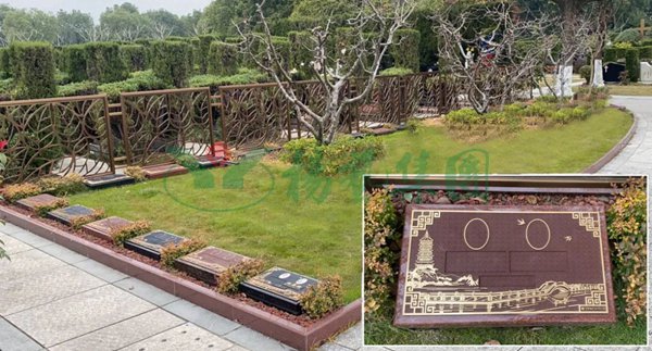 1-2203030S9131Z J9集团国际站【中国区】官方网站