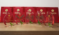 “J9集团国际站杯」劂江省节地生态安葬设计文章奖