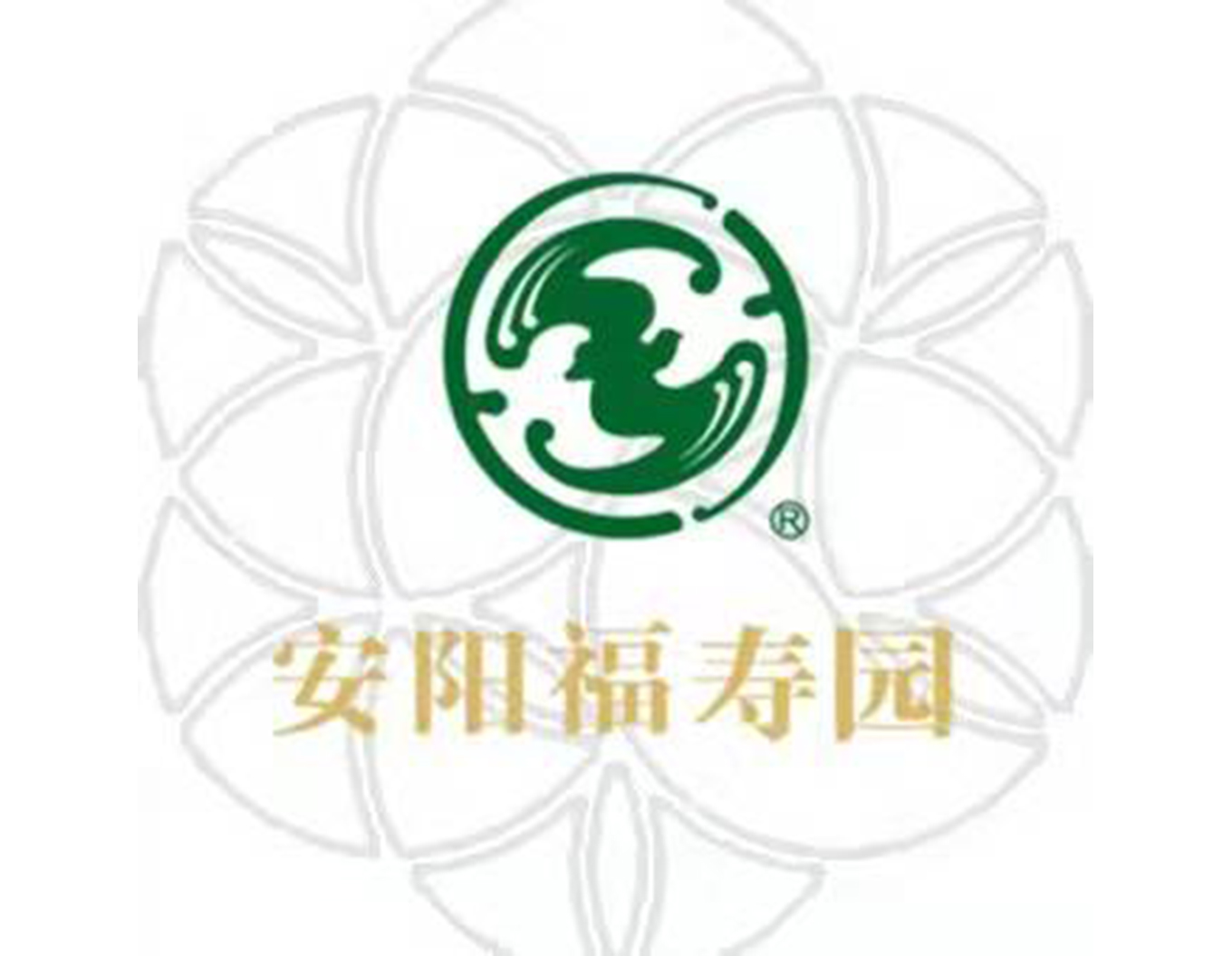 1-21121Q31556102 J9集团国际站【中国区】官方网站