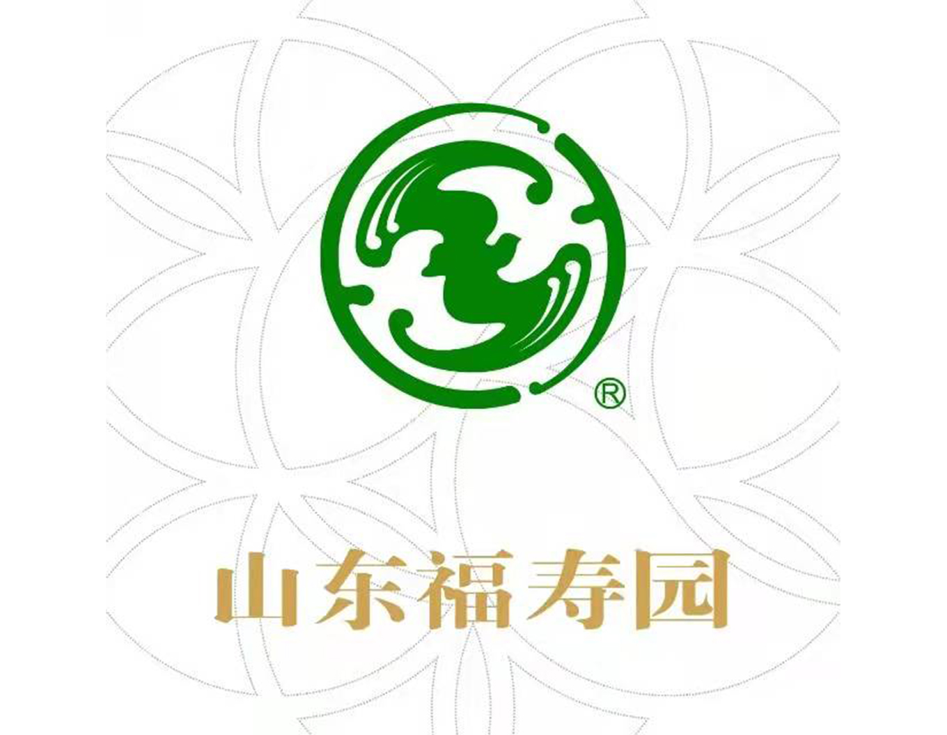 1-21121Q3231E50 J9集团国际站【中国区】官方网站