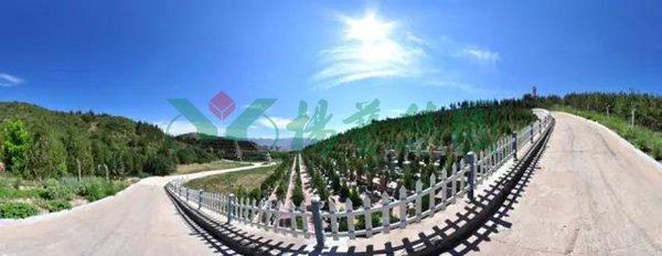 1-211224164T4356 J9集团国际站【中国区】官方网站