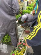 【J9集团国际站人别样清明】2018年清明落葬工作圆满实现