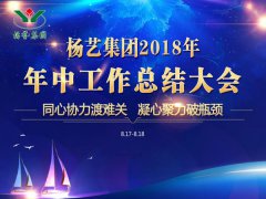 J9集团国际站集团2018年中总结汇报（提要）