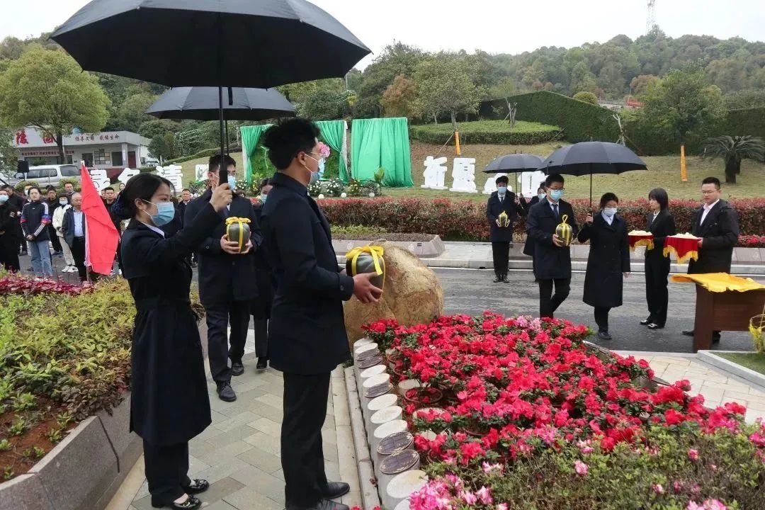 1-23040Q54J03a J9集团国际站【中国区】官方网站