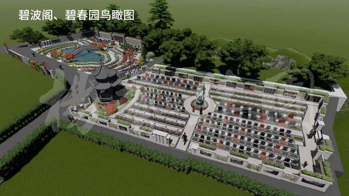 1-230F6153P1114 J9集团国际站【中国区】官方网站
