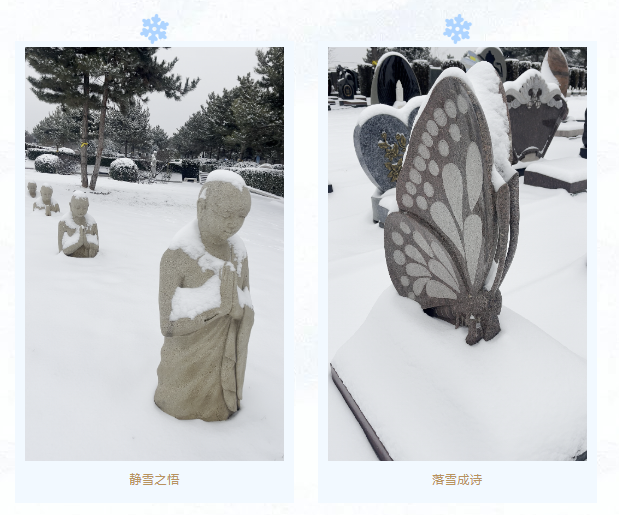 1-2312230T93E25 J9集团国际站【中国区】官方网站