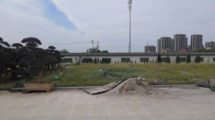 老墓园微刷新，助力城市人文关切