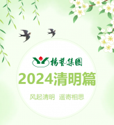 风起清明 遥寄相思|J9集团国际站集团?2024清明篇