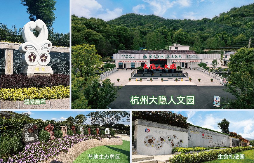 1-2406050T503c7 J9集团国际站【中国区】官方网站