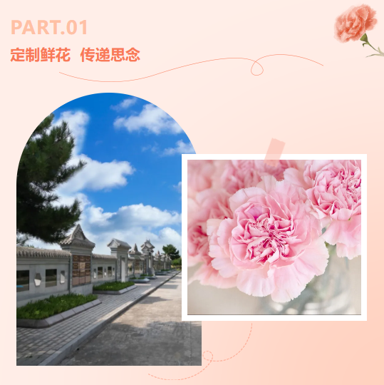 1-240615104R3123 J9集团国际站【中国区】官方网站