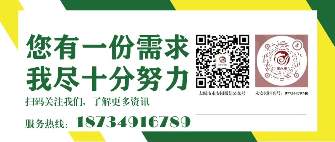 1-240615105130424 J9集团国际站【中国区】官方网站