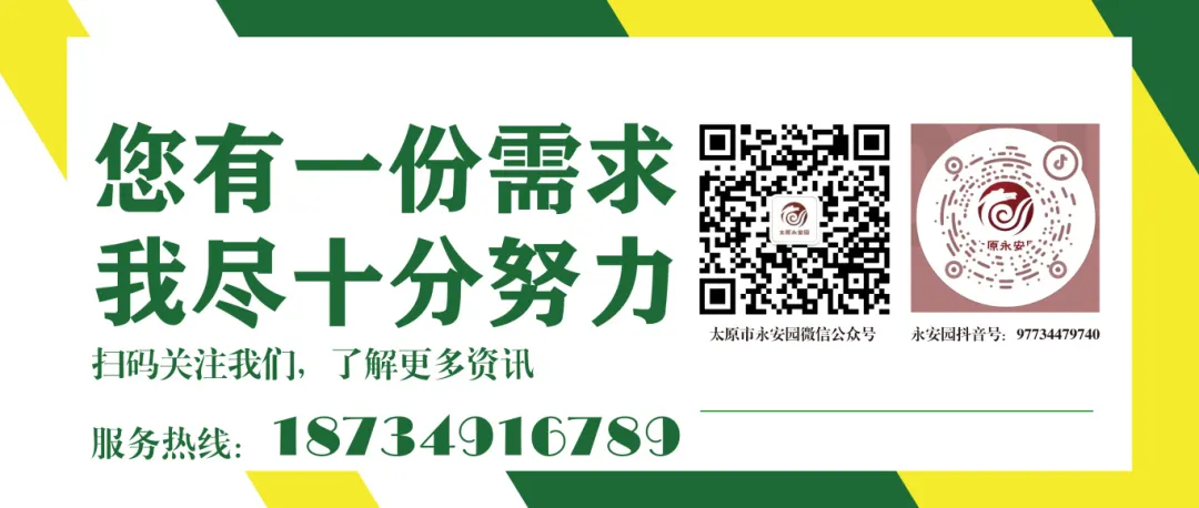 1-24062210001Dc J9集团国际站【中国区】官方网站