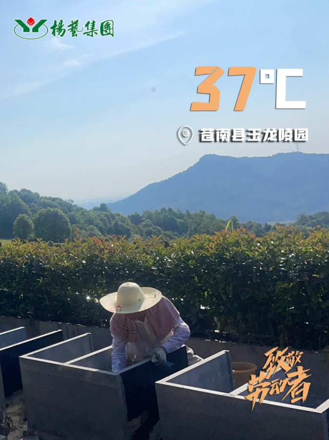 1-240H9135K2N8 J9集团国际站【中国区】官方网站