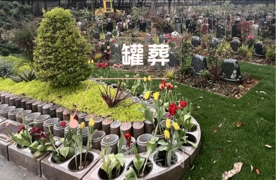 1-240H9143306104 J9集团国际站【中国区】官方网站