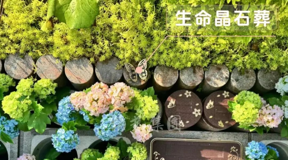 1-240H914334D49 J9集团国际站【中国区】官方网站