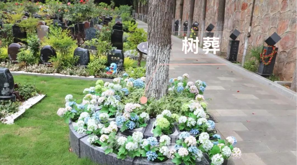 1-240H9143413937 J9集团国际站【中国区】官方网站