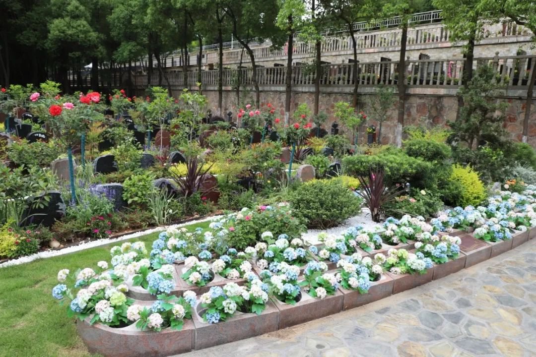 1-240RQ40AEH J9集团国际站【中国区】官方网站