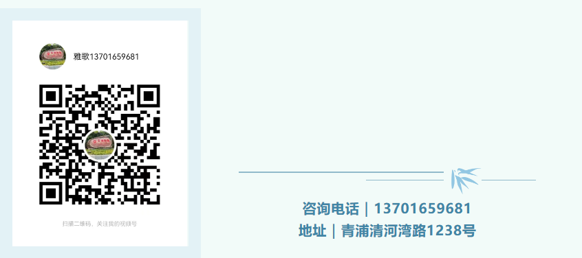 1-240ZG10009162 J9集团国际站【中国区】官方网站