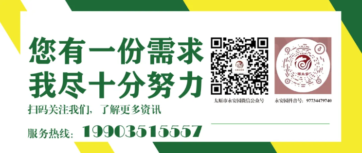 1-2409120ZI9327 J9集团国际站【中国区】官方网站