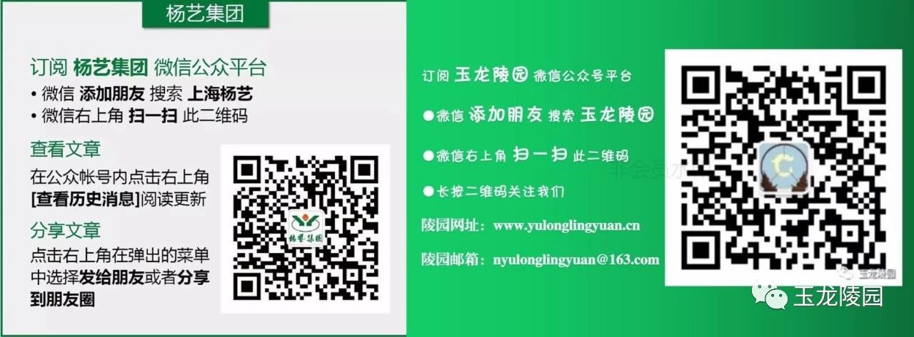 1-25040309312M41 J9集团国际站【中国区】官方网站