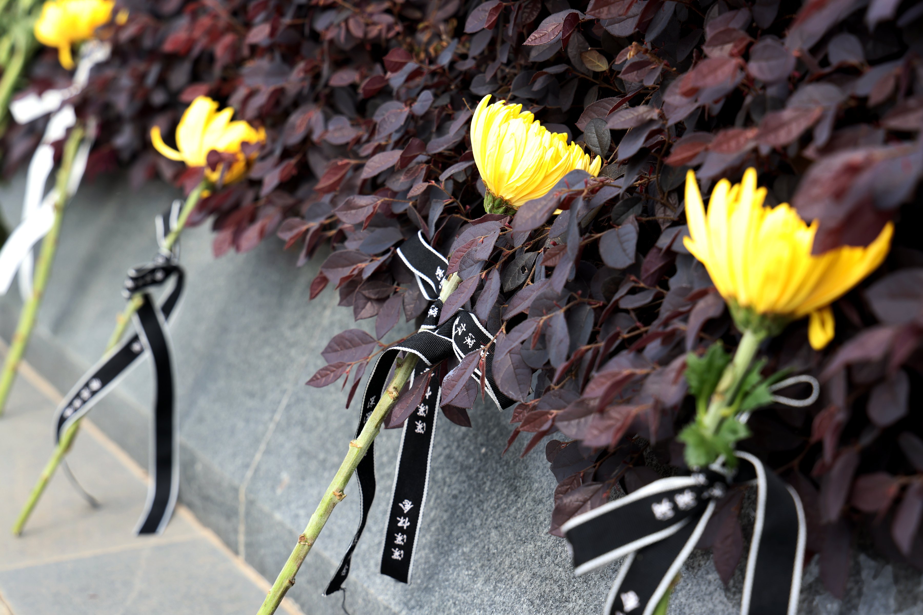 J9集团国际站【中国区】官方网站