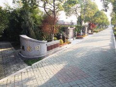 城市最后一平米：生态葬，是与天然的和解？还是无奈的选择？