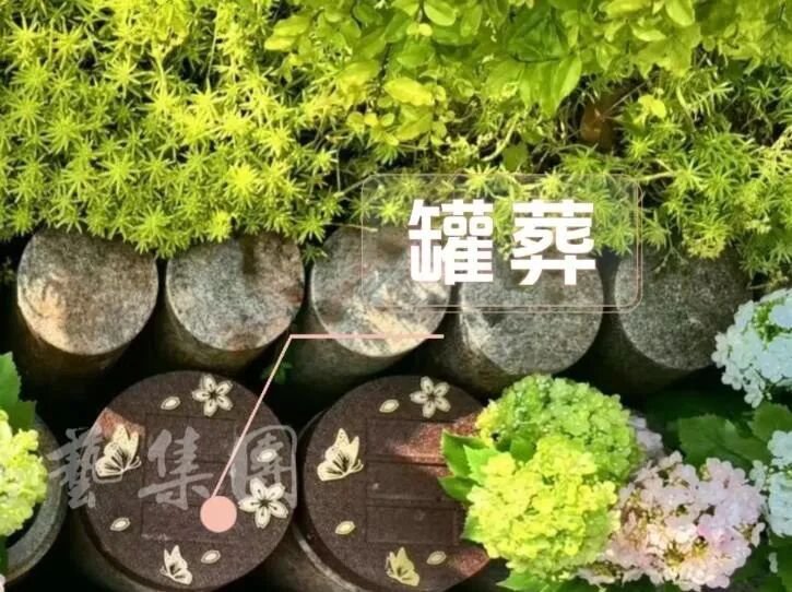 J9集团国际站【中国区】官方网站
